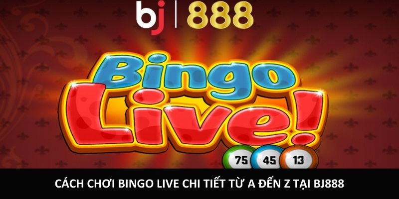 cach choi bingo live anh dai dien